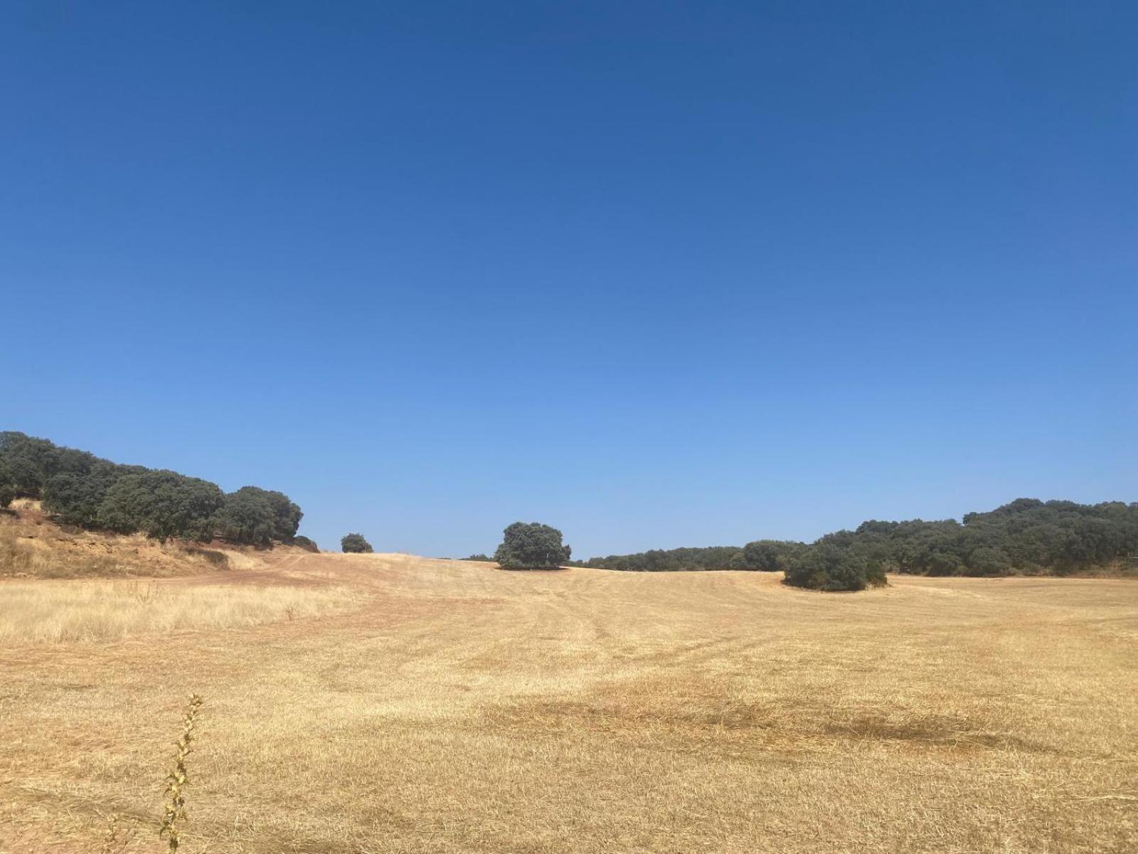 Casa Rural El Contarin - An Andalusian Escape, Archidona, Malaga エクステリア 写真