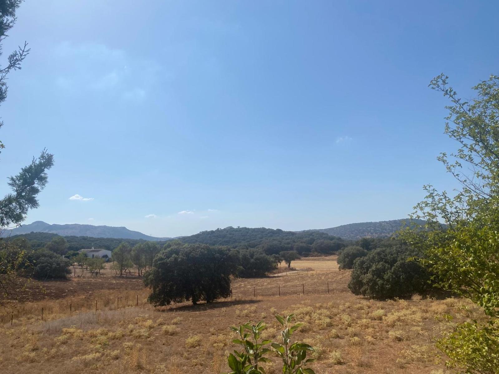 Casa Rural El Contarin - An Andalusian Escape, Archidona, Malaga エクステリア 写真