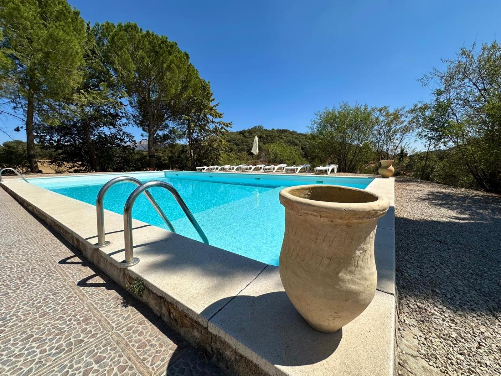 Casa Rural El Contarin - An Andalusian Escape, Archidona, Malaga エクステリア 写真